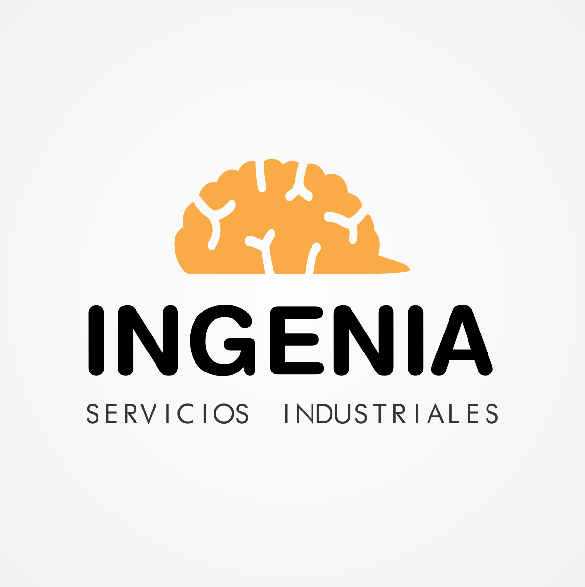 Ingenia, Servicios Industriales
